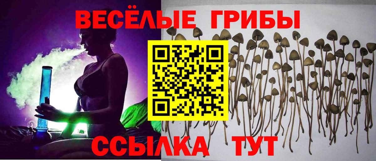 Псилоцибиновые грибы Psilocybine cubensis Валуйки