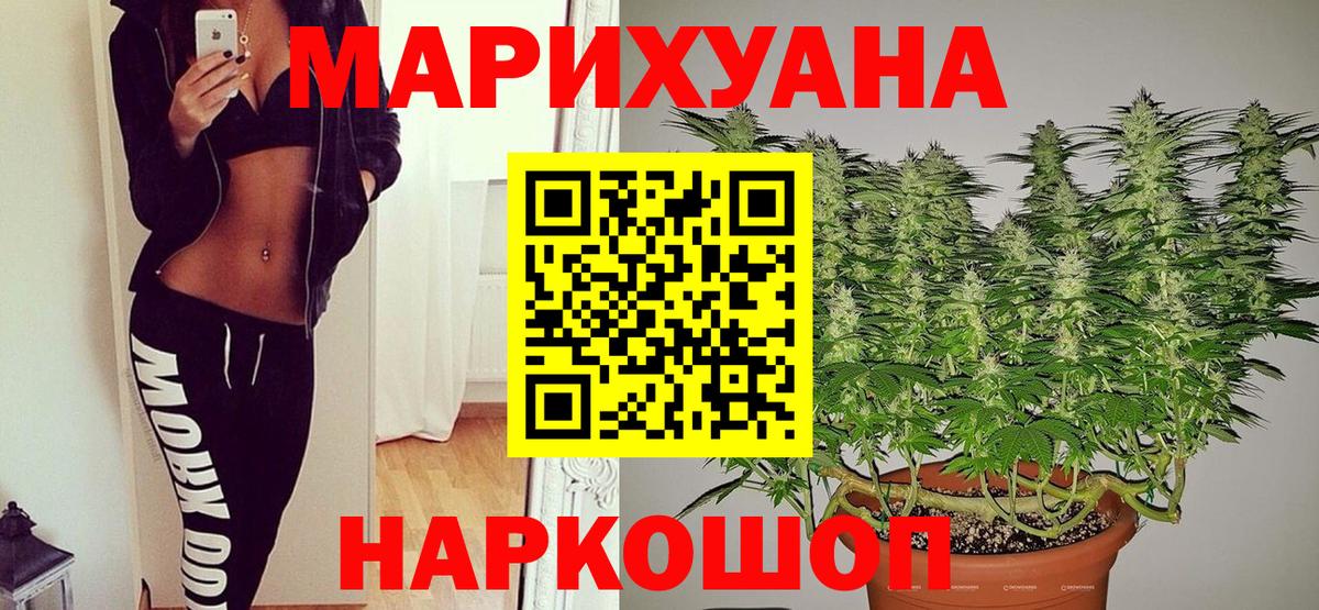 Конопля план  Бошки Шишки индика  Валуйки  Вход с VPN 